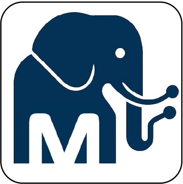 TrueMemory.ai Logo